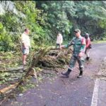 Screenshot_20230916-164017_WhatsApp