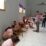 FB_IMG_1788330058558